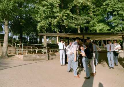 000826k-t2-imm025