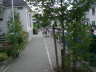2007