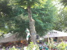 2007