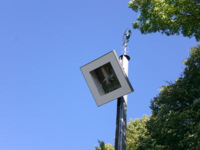 2007