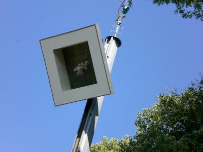 2007